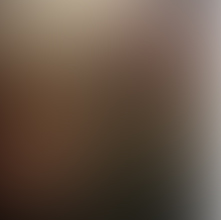 Sankt Anton village view